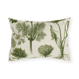 Green outdoor lumbar pillow with engraved botanical fennel, Queen Anne's lace and wild herbs in olive on cream